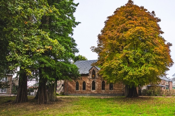 Hof ter Zielbeek (RUISBROEK (PUURS-SINT-AMANDS))